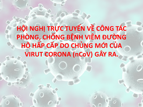 HỘI NGHỊ TRỰC TUYẾN VỀ CÔNG TÁC PHÒNG, CHỐNG BỆNH VIÊM ĐƯỜNG HÔ HẤP CẤP DO CHỦNG MỚI CỦA VIRUT CORONA (nCoV) GÂY RA.
